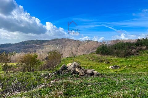 Helårsgrund i Joane, Braga, Joane - € 194.000 | Ref: L-TR-43-23 - foto 6