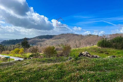 Helårsgrund i Joane, Braga, Joane - € 194.000 | Ref: L-TR-43-23 - foto 8
