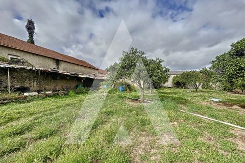 Terra a Parceiros e Azoia, Leiria, Parceiros e Azoia - € 205.000 | Ref: 1130741/23 LR - foto 2