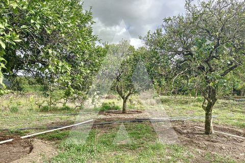 Terra a Parceiros e Azoia, Leiria, Parceiros e Azoia - € 205.000 | Ref: 1130741/23 LR - foto 3