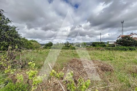 Terra a Parceiros e Azoia, Leiria, Parceiros e Azoia - € 205.000 | Ref: 1130741/23 LR - foto 4