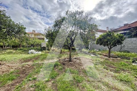 Terra a Parceiros e Azoia, Leiria, Parceiros e Azoia - € 205.000 | Ref: 1130741/23 LR - foto 5