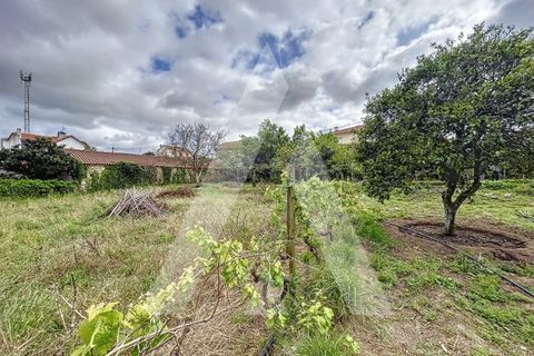 Terra a Parceiros e Azoia, Leiria, Parceiros e Azoia - € 205.000 | Ref: 1130741/23 LR - foto 6