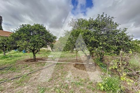 Terra a Parceiros e Azoia, Leiria, Parceiros e Azoia - € 205.000 | Ref: 1130741/23 LR - foto 7