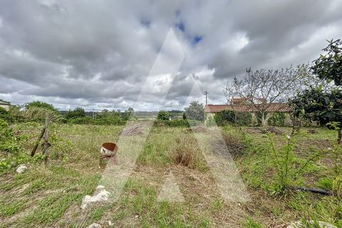 Terra a Parceiros e Azoia, Leiria, Parceiros e Azoia - € 205.000 | Ref: 1130741/23 LR - foto 8