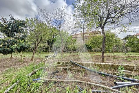 Terra a Parceiros e Azoia, Leiria, Parceiros e Azoia - € 205.000 | Ref: 1130741/23 LR - foto 9