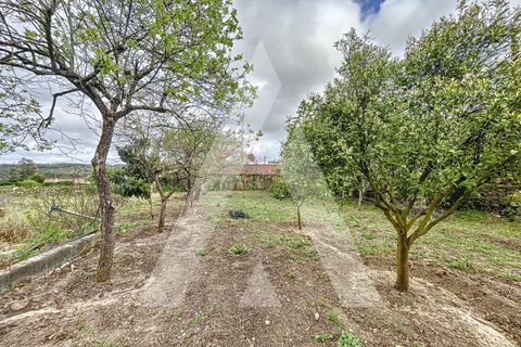 Terra a Parceiros e Azoia, Leiria, Parceiros e Azoia - € 205.000 | Ref: 1130741/23 LR - foto 10