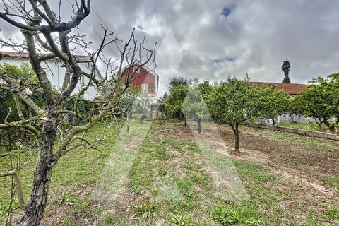 Terra a Parceiros e Azoia, Leiria, Parceiros e Azoia - € 205.000 | Ref: 1130741/23 LR - foto 11