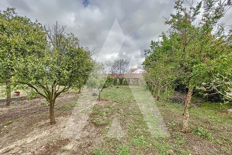 Terra a Parceiros e Azoia, Leiria, Parceiros e Azoia - € 205.000 | Ref: 1130741/23 LR - foto 12