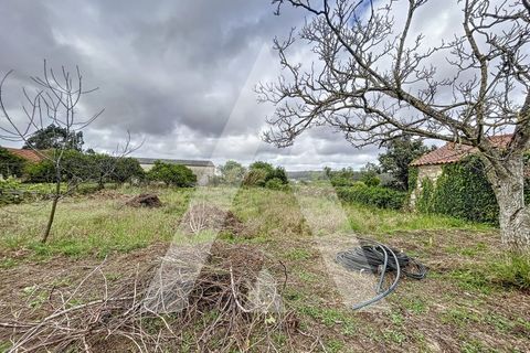 Terra a Parceiros e Azoia, Leiria, Parceiros e Azoia - € 205.000 | Ref: 1130741/23 LR - foto 13