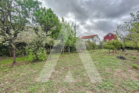 Terra a Parceiros e Azoia, Leiria, Parceiros e Azoia - € 205.000 | Ref: 1130741/23 LR - foto 16