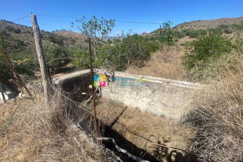 Landejendom i Purchena, Almeria, Purchena - € 99.500 | Ref: 2301 - foto 6
