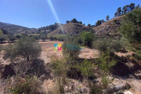 Landejendom i Purchena, Almeria, Purchena - € 99.500 | Ref: 2301 - foto 34