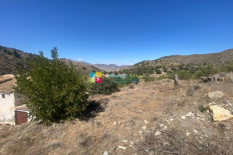 Landejendom i Purchena, Almeria, Purchena - € 99.500 | Ref: 2301 - foto 35