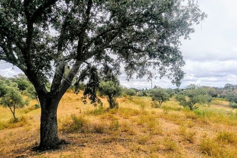 Helårsgrund i Ourique, Beja, Ourique - € 75.000 | Ref: K-209 - foto 7