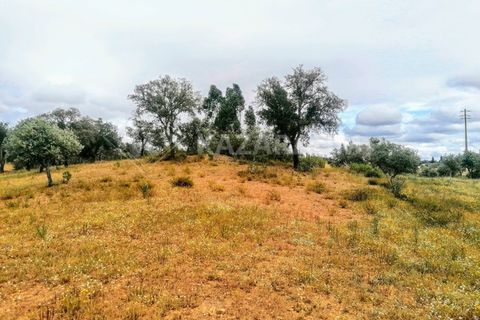 Helårsgrund i Ourique, Beja, Ourique - € 75.000 | Ref: K-209 - foto 5