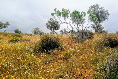 Helårsgrund i Ourique, Beja, Ourique - € 75.000 | Ref: K-209 - foto 14