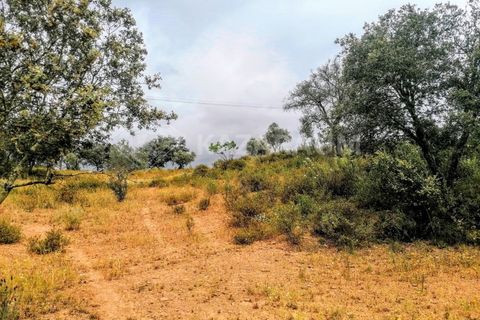 Helårsgrund i Ourique, Beja, Ourique - € 75.000 | Ref: K-209 - foto 6