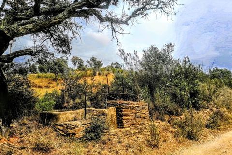 Helårsgrund i Ourique, Beja, Ourique - € 75.000 | Ref: K-209 - foto 12