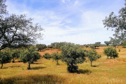 Helårsgrund i Ourique, Beja, Ourique - € 75.000 | Ref: K-209 - foto 1