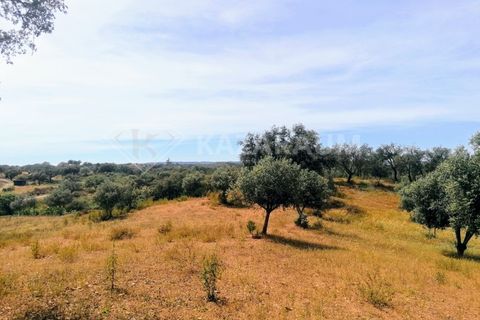 Helårsgrund i Ourique, Beja, Ourique - € 75.000 | Ref: K-209 - foto 3