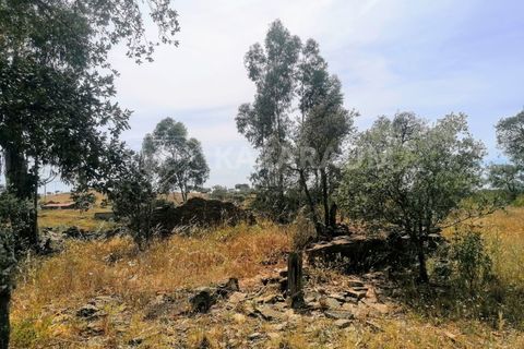 Helårsgrund i Ourique, Beja, Ourique - € 75.000 | Ref: K-209 - foto 10