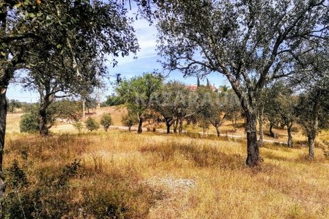 Helårsgrund i Ourique, Beja, Ourique - € 75.000 | Ref: K-209 - foto 9