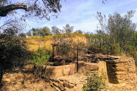 Helårsgrund i Ourique, Beja, Ourique - € 75.000 | Ref: K-209 - foto 11