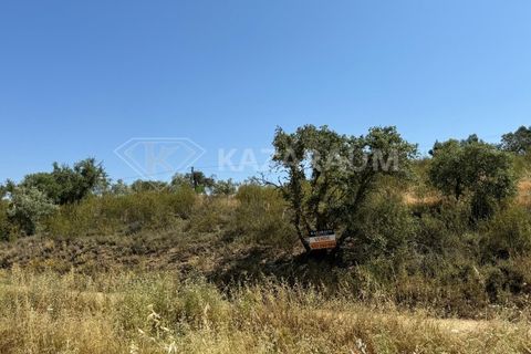 Helårsgrund i Ourique, Beja, Ourique - € 75.000 | Ref: K-209 - foto 16