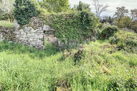 Helårsgrund i Caminha, Viana do Castelo, Caminha - € 210.000 | Ref: 2243 - foto 8