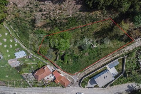 Helårsgrund i Caminha, Viana do Castelo, Caminha - € 210.000 | Ref: 2243 - foto 11
