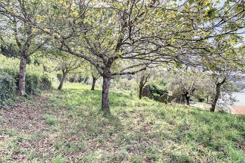 Helårsgrund i Caminha, Viana do Castelo, Caminha - € 210.000 | Ref: 2243 - foto 14