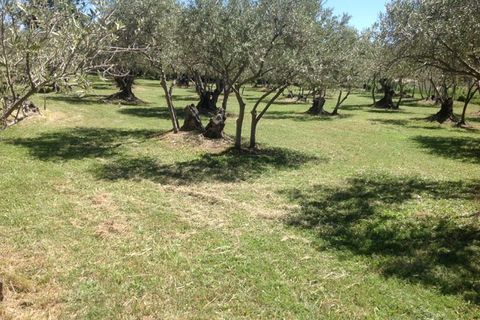 Villa i Manosque, Alpes-de-Haute-Provence, Manosque - € 790.000 | Ref: 1845-23 - foto 5