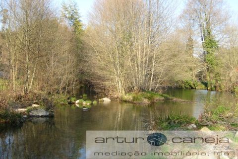Farm i Arcos de Valdevez, Viana do Castelo, Arcos de Valdevez - € 299.000 | Ref: 6339 (2) - foto 3