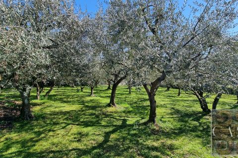 Villa i Gragnano, Naples, Gragnano - € 650.000 | Ref: v5777lr-x - foto 48