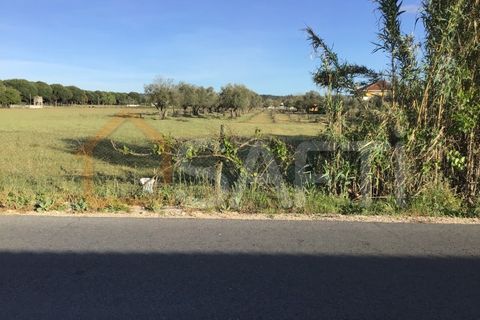 Helårsgrund i Abrantes, Santarem, Abrantes - € 55.000 | Ref: SAFTI:003212 - foto 4