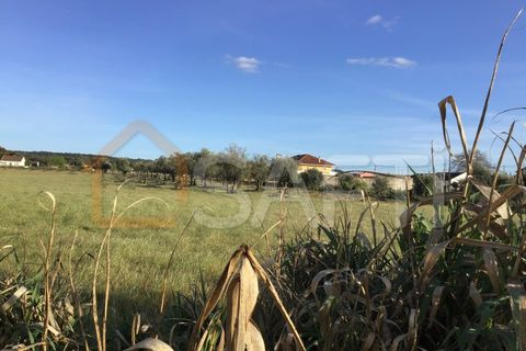 Helårsgrund i Abrantes, Santarem, Abrantes - € 55.000 | Ref: SAFTI:003212 - foto 5