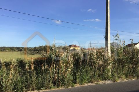 Helårsgrund i Abrantes, Santarem, Abrantes - € 55.000 | Ref: SAFTI:003212 - foto 6