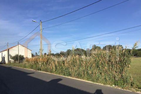Helårsgrund i Abrantes, Santarem, Abrantes - € 55.000 | Ref: SAFTI:003212 - foto 7