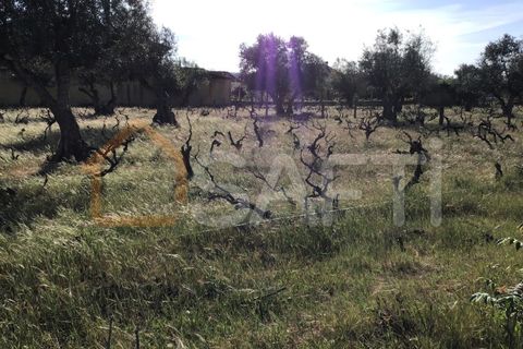 Helårsgrund i Abrantes, Santarem, Abrantes - € 55.000 | Ref: SAFTI:003212 - foto 8