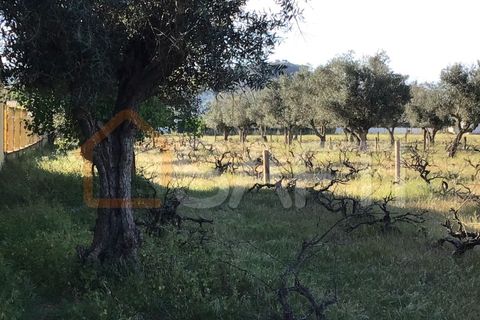 Helårsgrund i Abrantes, Santarem, Abrantes - € 55.000 | Ref: SAFTI:003212 - foto 11