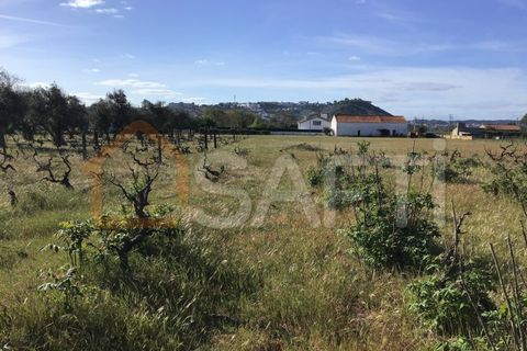 Helårsgrund i Abrantes, Santarem, Abrantes - € 55.000 | Ref: SAFTI:003212 - foto 12