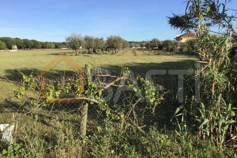 Helårsgrund i Abrantes, Santarem, Abrantes - € 55.000 | Ref: SAFTI:003212 - foto 14