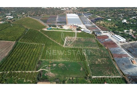 Farm i Quelfes, Faro, Quelfes - € 2.250.000 | Ref: 230047 - foto 1
