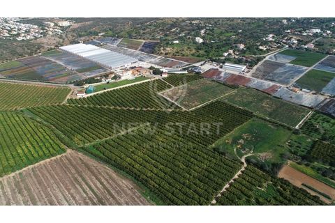 Farm i Quelfes, Faro, Quelfes - € 2.250.000 | Ref: 230047 - foto 5