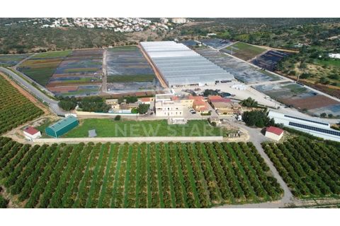 Farm i Quelfes, Faro, Quelfes - € 2.250.000 | Ref: 230047 - foto 6