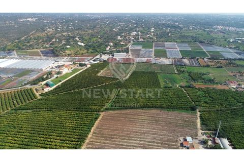 Farm i Quelfes, Faro, Quelfes - € 2.250.000 | Ref: 230047 - foto 8