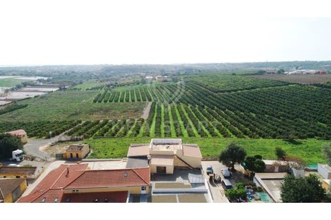 Farm i Quelfes, Faro, Quelfes - € 2.250.000 | Ref: 230047 - foto 10