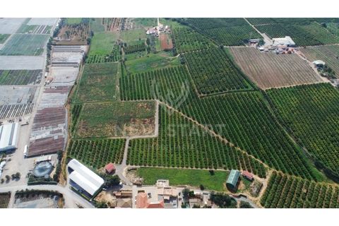 Farm i Quelfes, Faro, Quelfes - € 2.250.000 | Ref: 230047 - foto 12