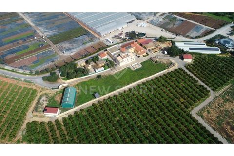 Farm i Quelfes, Faro, Quelfes - € 2.250.000 | Ref: 230047 - foto 13